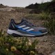 Παπούτσια Adidas Terrex Anylander γκρί-μπλέ