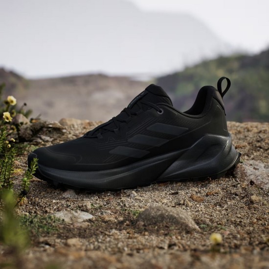 Παπούτσια Adidas Terrex Trailmaker 2 GTX μαύρα