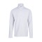 Ισοθερμική μπλούζα Fleece Brunotti Daronst ανοιχτό γκρι (2ου επιπέδου)