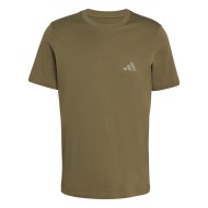 T-shirt Adidas Terrex Mountain Graphic χακί
