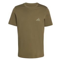 T-shirt Adidas Terrex Mountain Graphic χακί