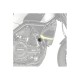 Τάπες πλαισίου, μαύρες, PUIG 3520N BENELLI: LEONCINO 500 2016- Τάπες πλαισίου, μαύρες, PUIG 3520N BENELLI: LEONCINO 500 2016-